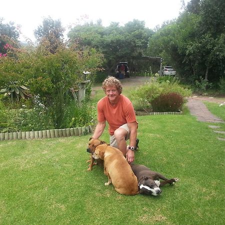 Piesang Valley Lodge Plettenberg Bay Dış mekan fotoğraf