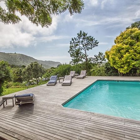 Piesang Valley Lodge Plettenberg Bay Dış mekan fotoğraf