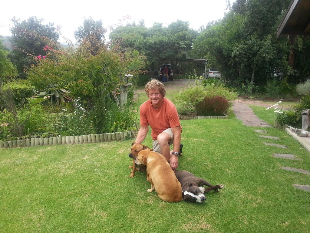 Piesang Valley Lodge Plettenberg Bay Dış mekan fotoğraf