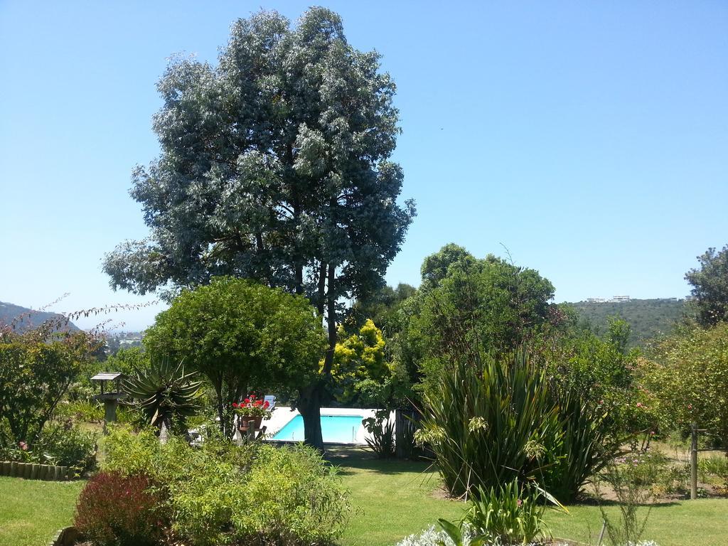 Piesang Valley Lodge Plettenberg Bay Oda fotoğraf