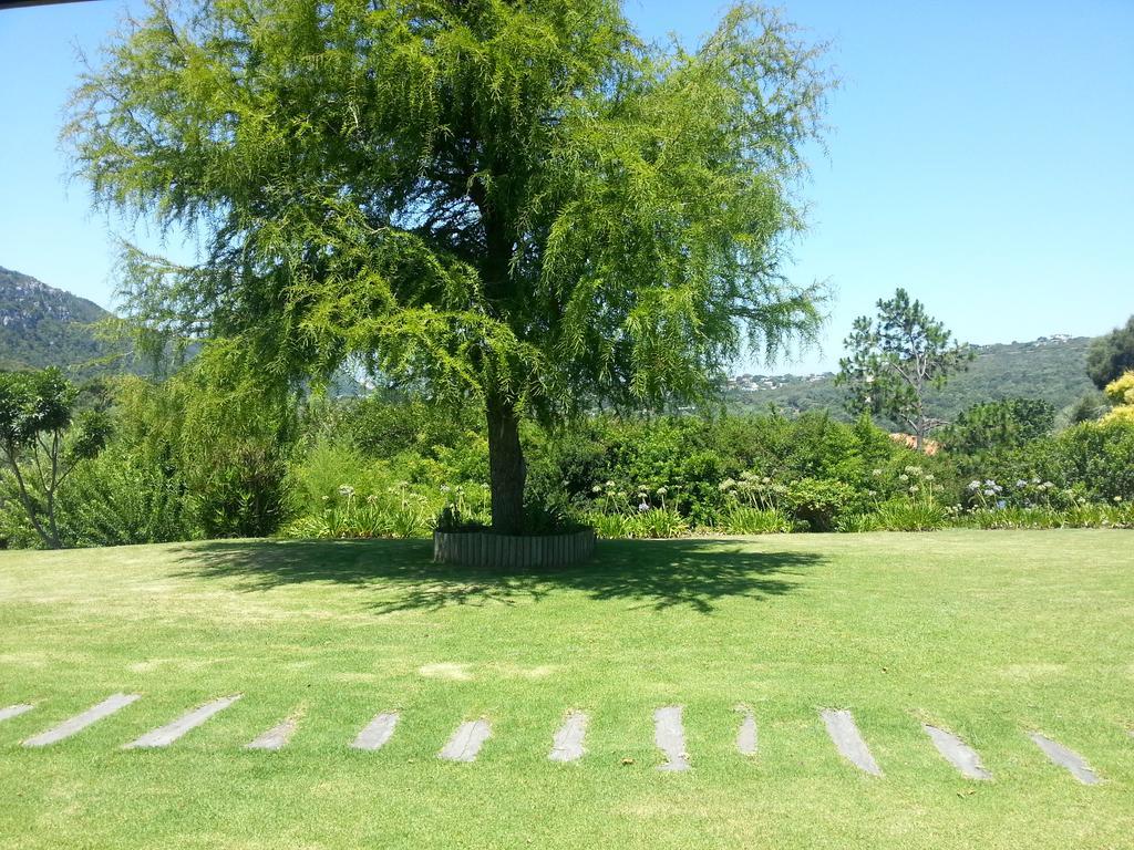 Piesang Valley Lodge Plettenberg Bay Oda fotoğraf