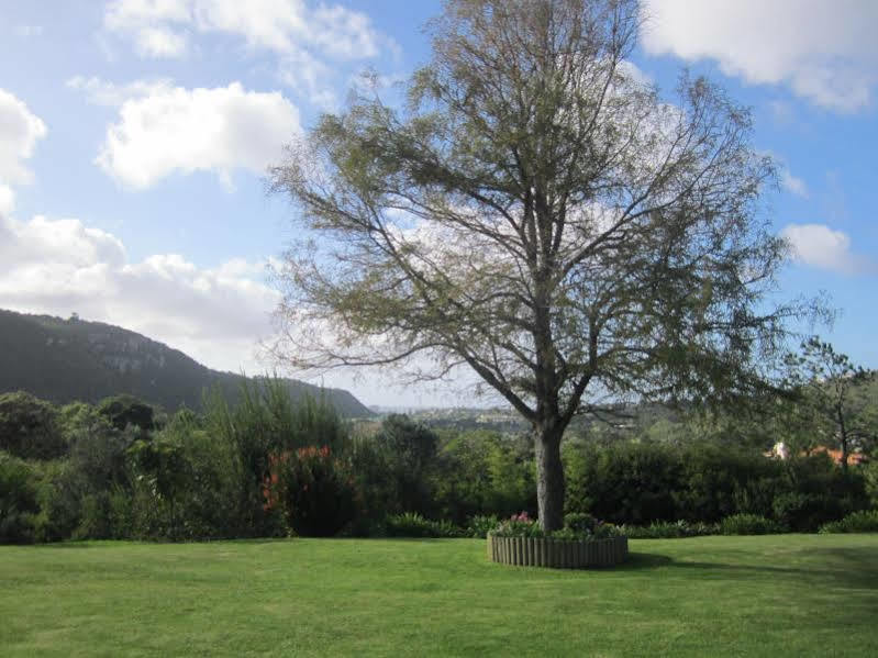 Piesang Valley Lodge Plettenberg Bay Dış mekan fotoğraf